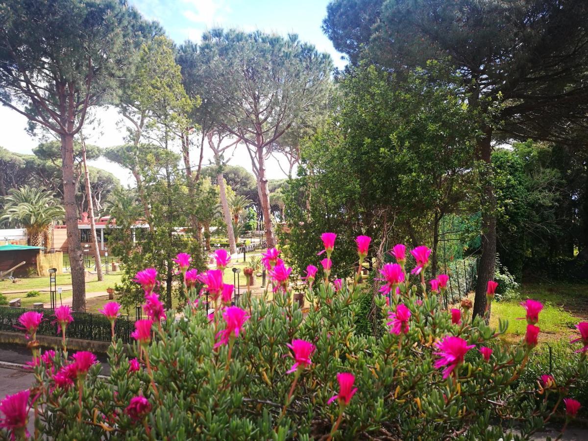 Casa Margherita Affittacamere B&B Follonica Exterior foto